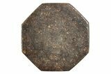 Stony Chondrite Cabochon ( g) - Meteorite #238224-1